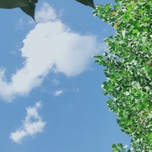 很走心的干净短句，总有一句能够将你治愈