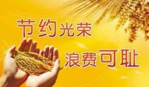 珍惜粮食的宣传语，珍惜粮食名言幽默标语，珍惜粮食不浪费的条幅宣传语 ...