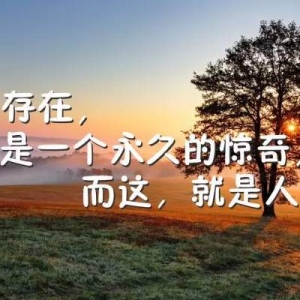 每天一条正能量早安