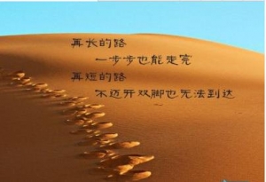 感悟语录，时间慢慢地告诉我，要学会说：“我不在乎!”