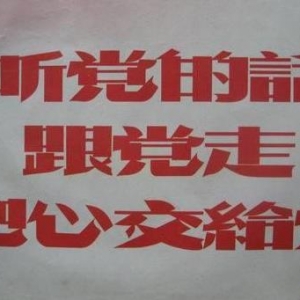 关于听党话，跟党走的学生作文范文，精选征文听党话跟党走 ...