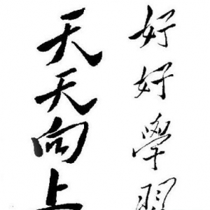 毛泽东为8岁小英雄陈永康题词“好好学习，天天向上”？