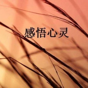 感悟人到中年健康最重要的句子，家包容越多幸福越多