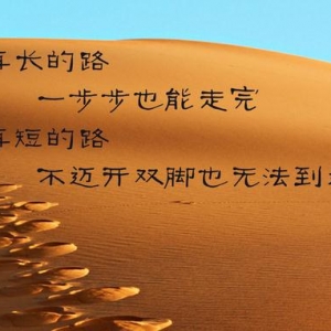 唯美微信好句子好文章好段落，感悟的句子有点伤感