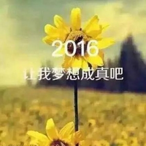 时光总是太匆匆，告别2015迎接2016文章美文