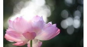 比赛失败、受挫难过时安慰鼓励自己的话或句子，看看真好。 ...