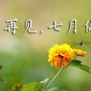 六月再见七月你好美句，六月再见七月你好图片唯美语录
