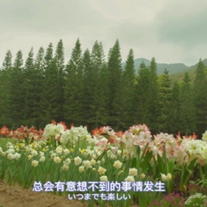 每天保持好心态的说说，充满阳光乐观心态的句子