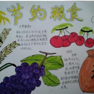 关于节约粮食的手抄报简单又漂亮，节约粮食手抄报内容