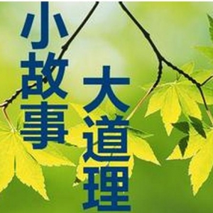 生活正能量，生活领悟的哲理故事，世间最珍贵的是“得不到”和“已失去”吗 ...