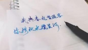 眼有星辰大海，心有繁花似锦，愿流年不负愿岁月可期感悟美句 ...