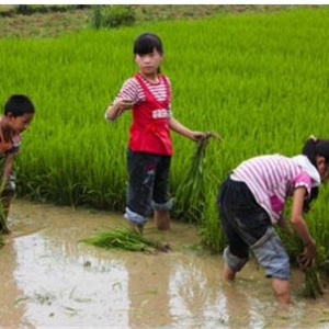 关于孩子吃苦的教育文章，你不让孩子吃苦，这个世界会让他很苦 ...