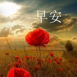 最美的早安暖心话语，对对象说的亲切早安语句