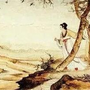 杜甫的诗，三吏三别之《新婚别》