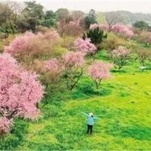 享受大自然的心情说说，11个唯美句子足以表达