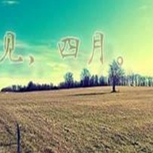 最后一天发朋友圈的说说，群发问候语录句子