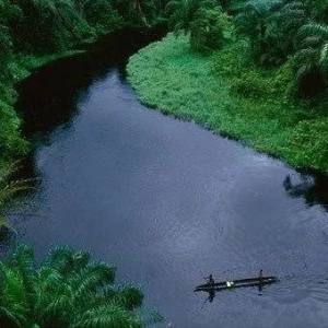 最长的河流世界是哪一条 盘点十大最长河流
