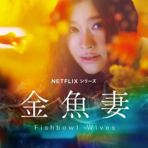《金鱼妻》讲了什么故事，6个女性的婚外故事