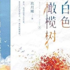 玖月晞经典小说句子，值得收藏的唯美说说