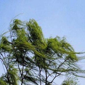 刮大风适合发朋友圈的句子，表示今日风很大的幽默说说