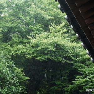 陆游与大部分诗人又不一样，他只是写一两首诗