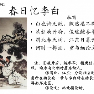 小学语文：“诗词歌赋里的春天”主题队会活动介绍