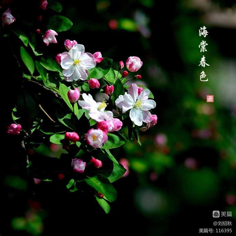 描写春天景色的诗词_描写春天诗词_关于春天的诗词歌赋
