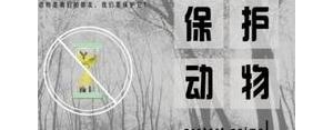关爱动物的句子？(精选10条)