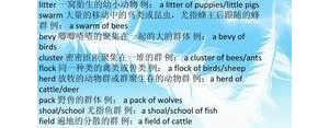 定义英语短语,英语中两个名词可以组成短语吗？