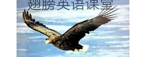 添乱英语短语,bother后面加什么？