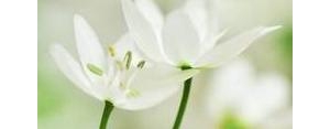 生活需要热情的句子,生活需要热情唯美句子？