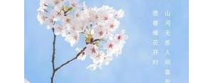 3月唯美短句,人间三月天唯美句子？