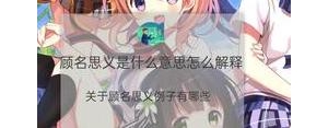 顾名思义的句子和意思,顾名思义写句子四年级？