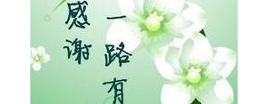 表达感谢的语句句子,高情商表达谢意的句子？