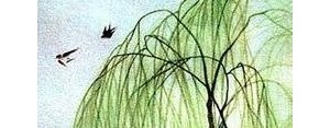 写柳树的古诗句子有哪些?含有“柳树”二字的古诗有哪些？
