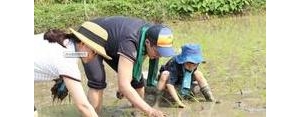形容劳作的句子,形容干活很卖力的句子？