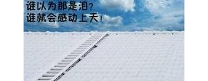 初中会用到的好句子,初中的孩子该不该用手机？