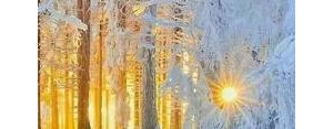 描述阳光的短句子简短,阳光靓丽的句子？