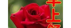 友谊久久的句子多,友谊长长久久的唯美句子？