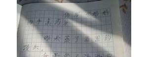 描写母亲手非常灵巧的句子,写妈妈手很灵巧的句子？