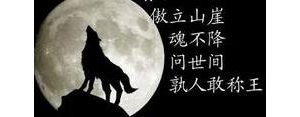 霸气狼的十字短句,独狼的霸气句子？