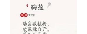 雪的古诗词句子,上下两句都带有雪的古诗大全？