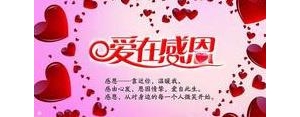 准备退网的句子,退网的句子？