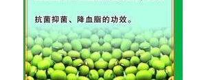 描写绿豆的句子有哪些？(精选10条)