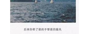 关于避风港的唯美句子,船和避风港的文案？