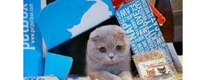 说狗粮的句子,狗粮评价的句子？