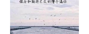 关于运动会的励志短句子,运动会励志短句？