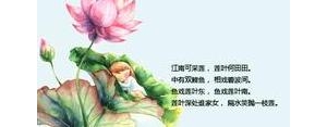 对荷花的赞美的句子,赞美荷花的句子有哪些？