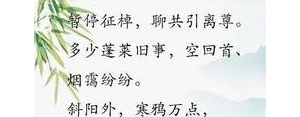 融情于景的句子简短,融情于景的佳句有哪些？