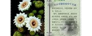形容一个东西压在心里的句子,压在心上的石头落地了的句子？ ...